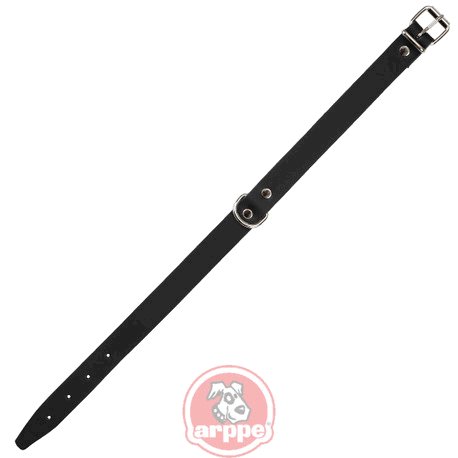 [195302555009] COLLAR CUERO AMAZONE NG