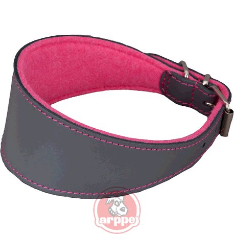 [2155015094] COLLAR GALGO CUERO SUPERFELT GR/FUC