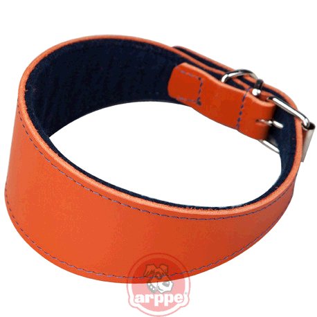[2155014590] COLLAR GALGO CUERO SUPERFELT NJA/AZ M