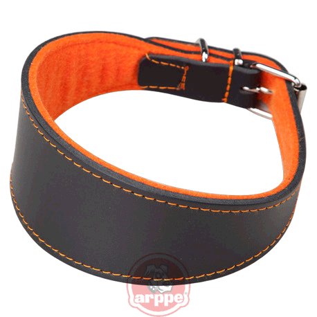 [2154015006] COLLAR GALGO CUERO SUPERFELT NG/NJA