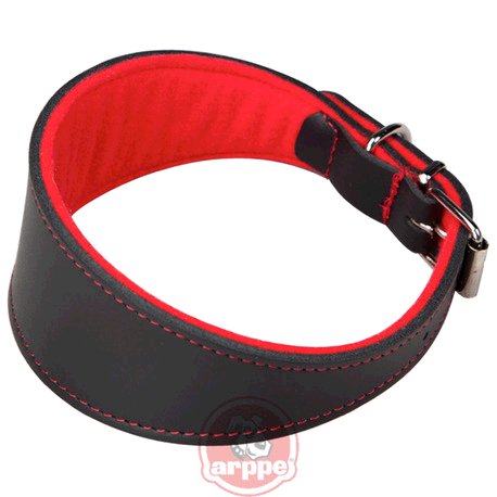 [2154014501] COLLAR GALGO CUERO SUPERFELT NG/RJ