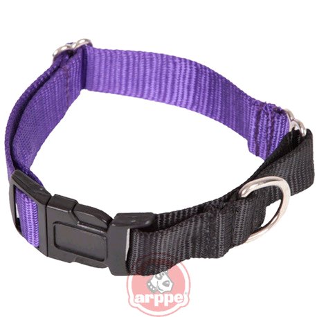 [4192012517] COLLAR REGULABLE EDUCATIVO NYLON PUR