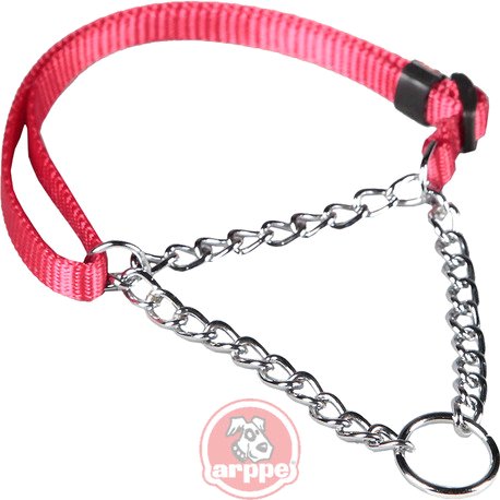 [227501020001] COLLAR EDUCATIVO NYLON PLANO RJ