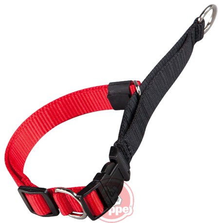 [4127013001] COLLAR EUC.2 USOS NYLON BASIC RJ