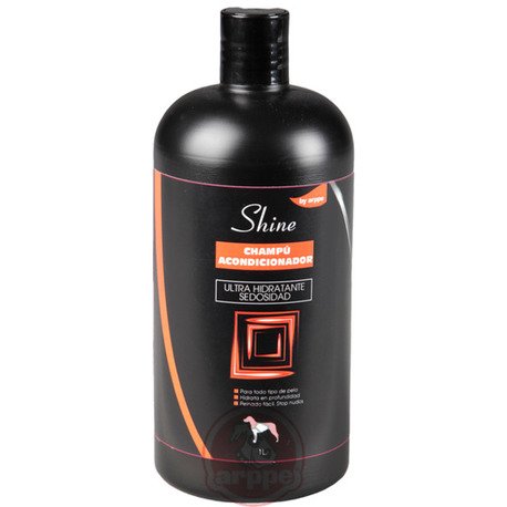 [2900019100] CHAMPU ACONDICIONADOR 1 L.