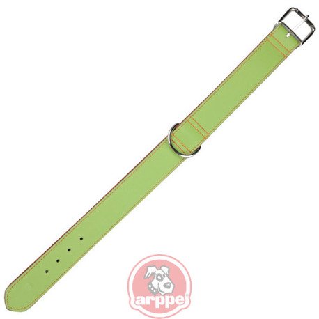 [195404045119] COLLAR CUERO FORRO ANTE OMEGA VDE/CAR