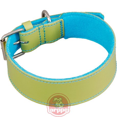 [195954070124] COLLAR CUERO QUATRO VDE/AZ