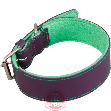 [195954060174] COLLAR CUERO QUATRO MDO/VDE