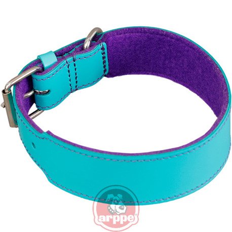 [195954050175] COLLAR CUERO QUATRO TUR/MDO