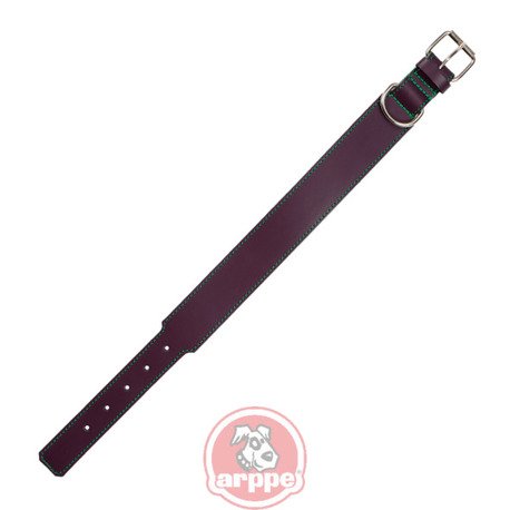 [195954050174] COLLAR CUERO QUATRO MDO/VDE