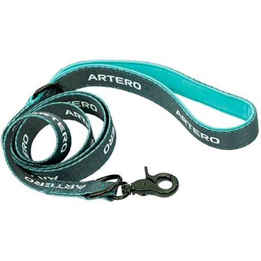 [Y516] ARTERO CORREA PASEO