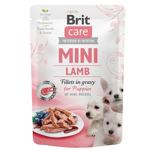 [BR0187] Wet Brit Care Mini GF PUPPY Cordero (24x85gr)