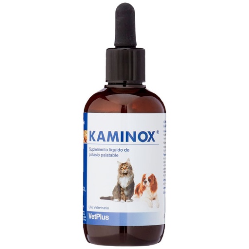 [VT50825] KAMINOX 120ML