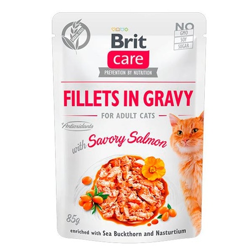 [BR0319] Wet CARE Filetes de salmón (24x85gr)