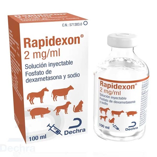 [D034716] RAPIDEXON 2 mg/ml 100ML