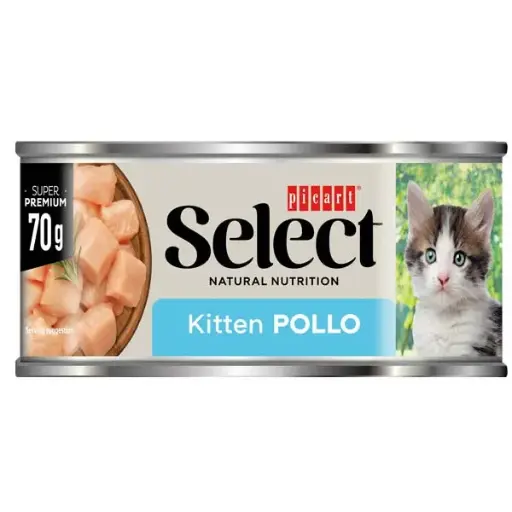 [02832670] WET SELECT CAT KITTEN Pollo 18x70gr